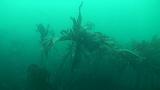 2009-09-23 11-53-05 17L